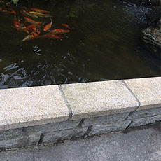 魚池石角