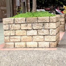 路樹石角